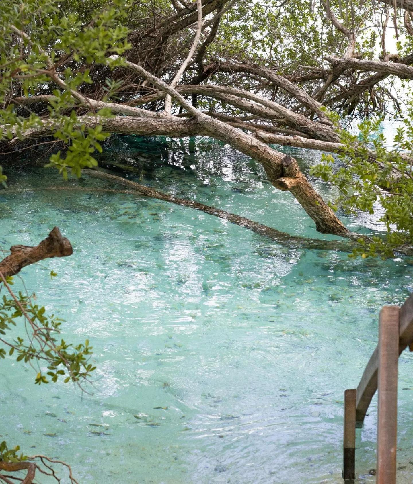Kudhi Boli Beach House Thulusdhoo Εξωτερικό φωτογραφία
